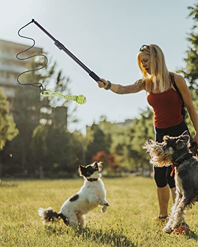 JOFLVA Flirtstock für Hunde, Teaser-Hund, ausziehbarer Teaserstab, interaktives Outdoor-Spielzeug, für kleine mittelgroße Hunde, Training, Spielübung.