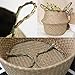 Seagrass Cesta de cesteria de Mimbre Cesta Almacenamiento de Flor Cesta (27...