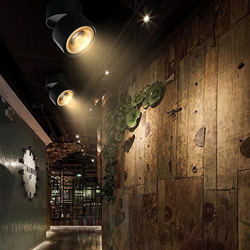 Image of LED Ceiling Spotlight-Indoor 360Adjustable Surface Mounted 10W COB Ceiling Downlight-Wall Lamp for Picture Background Wall Display Lighting(Black,3000K Warm Light)
