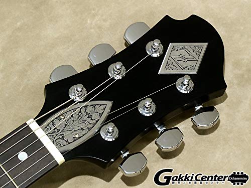 Amazon | ZEMAITIS S24DT DRAGON Black エレキギター ディスクフロント