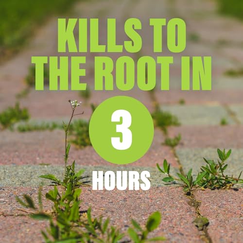 Green Gobbler Natural Total Control Weed & Grass Killer | Made with Concentrated Salt & Vinegar | Pet Safe | Kills to The Root | 1 Gallon with Battery Powered Spray Wand