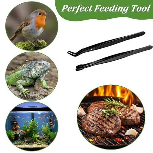 2 Stück Aquarium Pinzette Set Gerade Pinzette&Gebogene Pinzette Set Lange Reptilien Futterpinzette Edelstahl mit Gummispitze Aquarium Pinzette für Eidechsen Spinnen Schlangen Aquariu-Futterwerkzeug