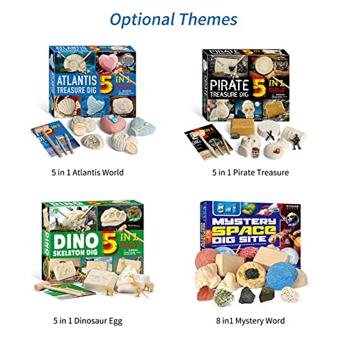LAOJIA brinquedos de dinossauro Dino Eggs Dinosaur Treasures Dig Kit com 5 Bricks Digging Tools STEM