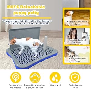 Dog Potty Tray,20"x15"Collapsible Dog Training Toilet with Wall Portable Puppy Pee Pad Holder with Grille and Anti-Slip Mats Indoor Pet Mesh Potty Training for Medium and Small Dogs(Blue) Dog Potty Tray,20″x15″Collapsible Dog Training Toilet with Wall Portable Puppy Pee Pad Holder with Grille and Anti-Slip Mats Indoor Pet Mesh Potty Training for Medium and Small Dogs(Blue)
