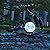 Solar Bird Feeder for Outdoors Hanging, Metal Wild Cardinals Garden Solar Light with S Hook, Weatherproof and Water Resistant Birdfeeders as Gift Idea for Bird Lovers (Blue Gold)