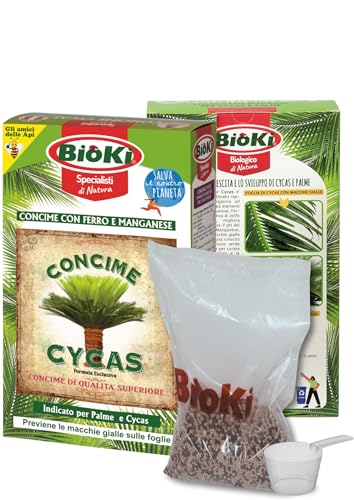 CONCIME CYCAS CON MANGANESE E FERRO AD ALTA EFFICENZA, ASTUCCIO 900 G COMPLETO DI MISURINO GRADUATO