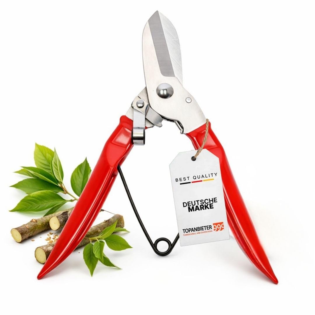Astschere 16,8 cm, Bypass-Schere für Äste und Obstbäume, präzise Sträucherpflege, breite Edelstahlklingen, rutschfeste Griffe,Handgartenschere ergonomisch & leicht, Federmechanik