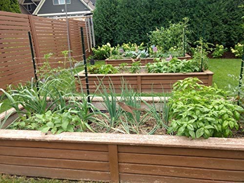 Brut Worm Farms - Worm Castings Soil Builder - Organic Fertilizer - Natural Enricher for Healthy Houseplants, Flowers, and Vegetables - Use Indoors or Outdoors - Non-Toxic and Odor Free - 30 Pounds