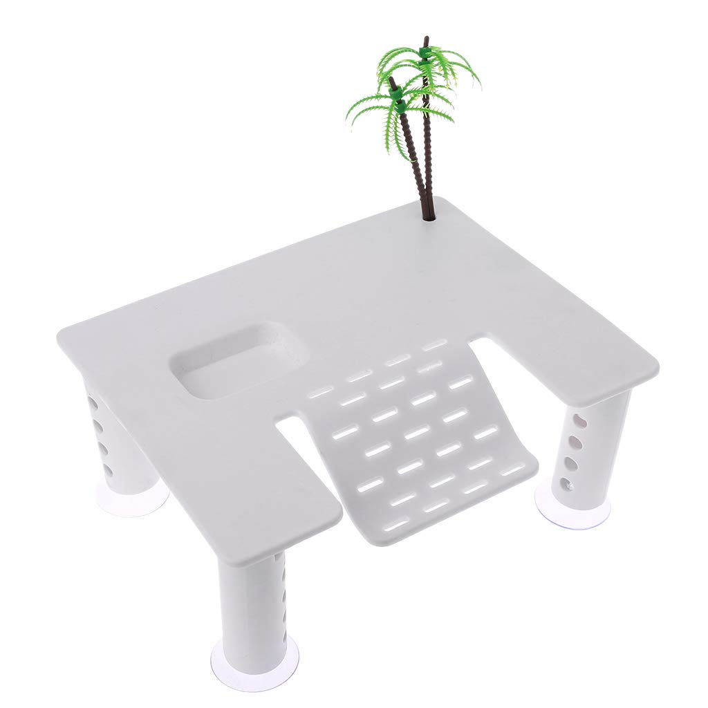 NEWFT Platform Tortoise Platform with Suction Cup Ladder for Reptiles Habitat Terrarium Fish for Ornaments