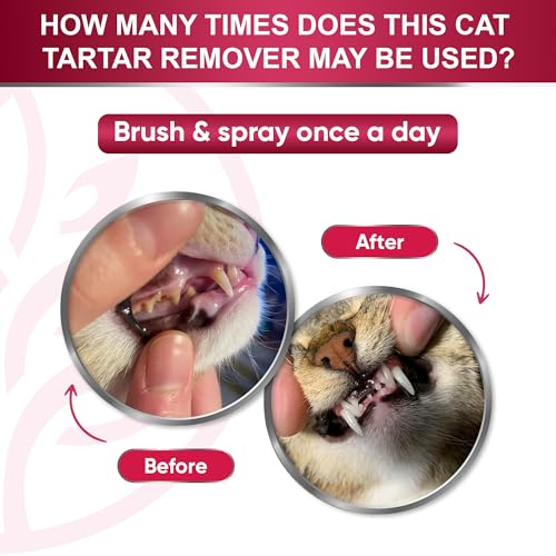 Cat Dental Care | Cat Breath Freshener | Dental Spray | All Breeds Mouth Cleaner | Spray for Bad Breath | Teeth & Mouth Cleaner | 4 oz