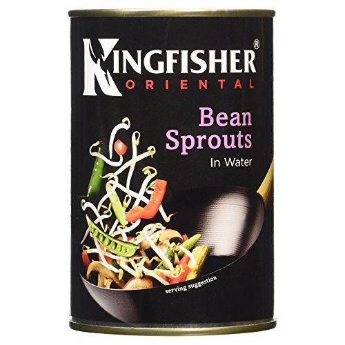 Kingfisher Oriental Bean Sprouts in Water 410g