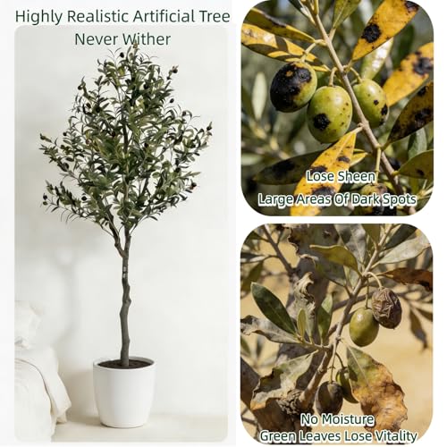 6FT Artificial Olive Tree, Faux Olive Tree for Modern Boho Home Decor, Fake Olive Tree with Realistic Leaves & Fruits, Potted Indoor Plant for Living Room Bedroom Entryway — view 5
