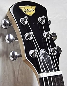 Amazon.co.jp: PIGNOSE PGG-200FM SBK☆初心者満足お得セット