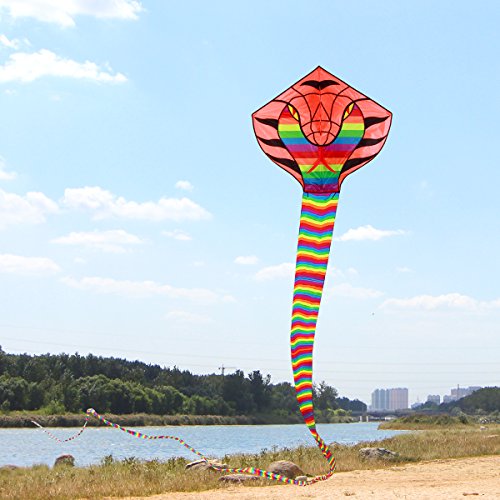 Besra Large Cobra Snake Kite 52ft Colorful Rattlesnake Kite with 15m Long Tails Outdoor Fun Sports with Flying Tools (Rainbow) - Thumbnail 3