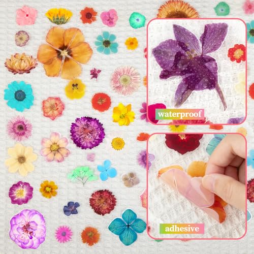360 stickers de flores prensadas en 20 hojas miniatura 2