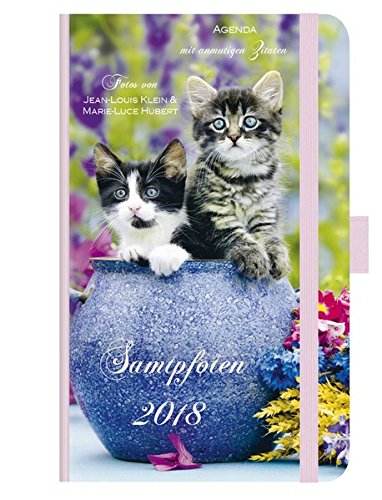 Samtpfoten 2018: Foto-Agenda