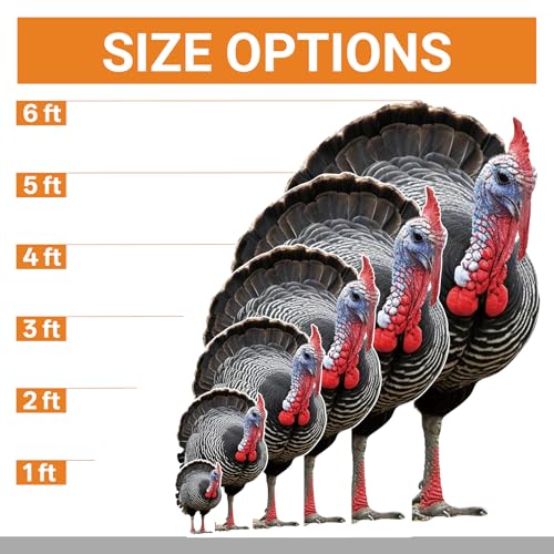 Image of Turkey Life Size Cardboard Cutout, 1FT Animal Standup, 1 PC | Turkey Cardboard Cutout Standup for Events, Party Decor, Birthday Photos, Thanksgiving, Halloween, and Holiday Party