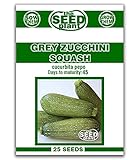 Grey Zucchini Squash Seeds - 25 Seeds Non-GMO