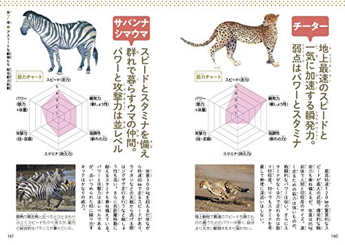 22年版 動物図鑑のおすすめ19選 写真やイラスト入りも Heim ハイム 22年版 動物図鑑のおすすめ19選 写真やイラスト入りも Heim ハイム