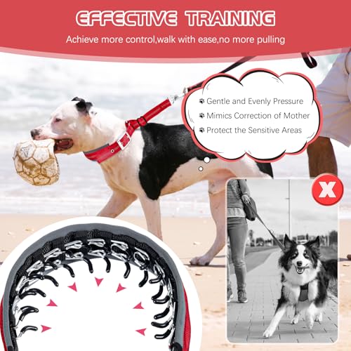 Duckygoo Hundehalsband, kein Ziehen, verstellbares Martingal-Halsband für kleine, mittelgroße und große Hunde, reflektierend, strapazierfähig, Trainingshalsband für Spaziergänge, Jagd, Rot, Größe S