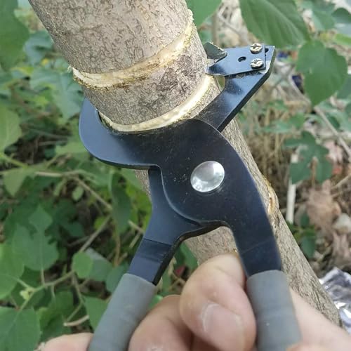 Mantenimiento de troncos sin esfuerzo usando alicates ergonómicos para cortar corteza 3