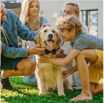 Hundehalsband Fliege für Hunde Fliege Samtige Halsband Hund Für Hochzeiten Geburtstage Festliche (Schwarz)