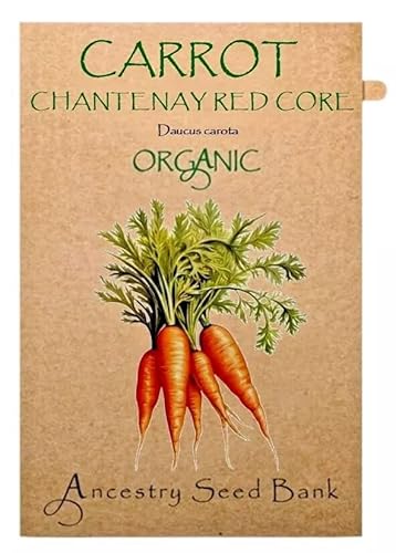 Organic Carrot ❁ Chantenay Red Core ❁ 150 Seeds Heirloom - Non GMO