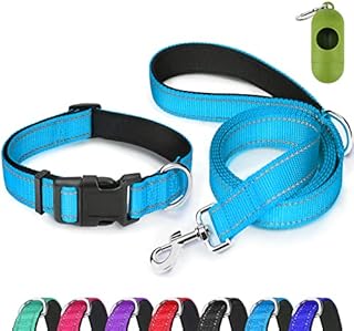Dynmeow Reflective Dog Collar and Lead Set, Adjustable Pet Collar with Soft Neoprene Padded for Small Medium Large Dogs, Standard Lead, Red, XS