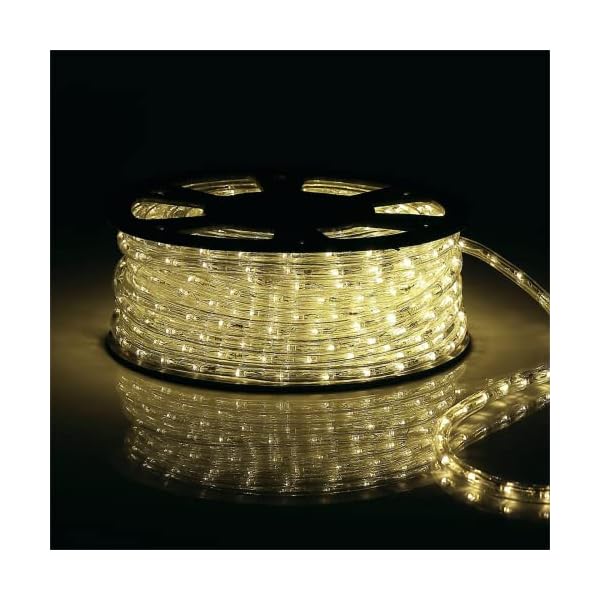 Buyagn 100ft led rope lights - image 4