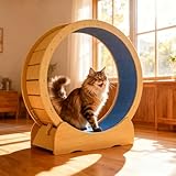 Cat Exercise Wheel, Silent Running Wheel for Indoor Cats with Safety Lock, Easy to Clean & Tool-Free Assembly, Low Noise Design for Running/Walking/Training