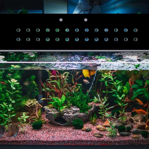 Image of Sieral Aquarium Polycarbonate Canopy Set 19.37 x 9.37 x 0.12 Inch for 10 /20 Gallon Without Center Brace Aquariums Cover Fish Tank Lid with a Hook Knife, Breathable Hole, Handle(Black)