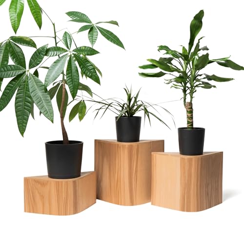EWART WOODS Floor Plant Stand Indoor Wood for Single Planter Stands, Wooden Modern Flower Podium Blocks, Unique Display for House Plants Pot, Pedestal (Cherry)