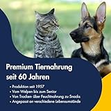 Dr. Clauders Dog Snack Dental Huhn Large Breed 500 g