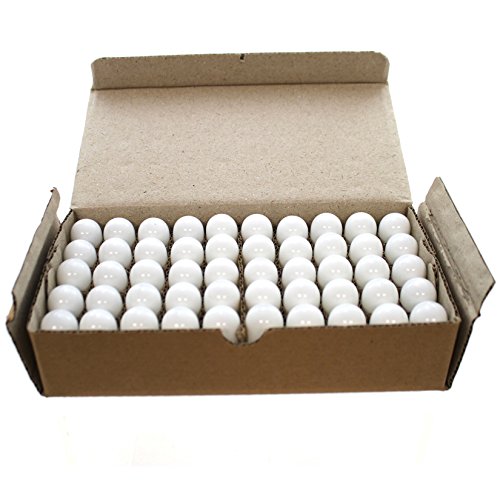 40% Off Discount Department 56 Accessories for Villages Replacement Light Bulb (Box of 50)