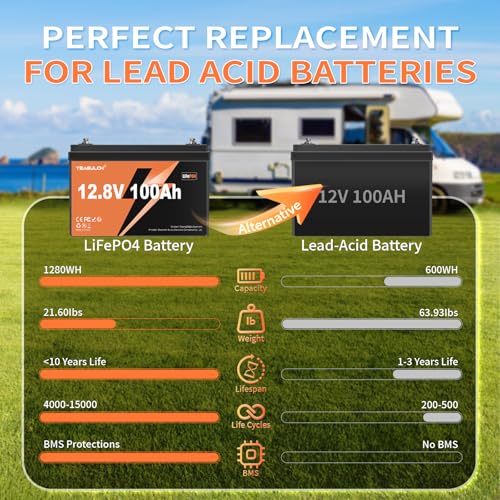 2 Pack 12V 100Ah LiFePO4 Battery