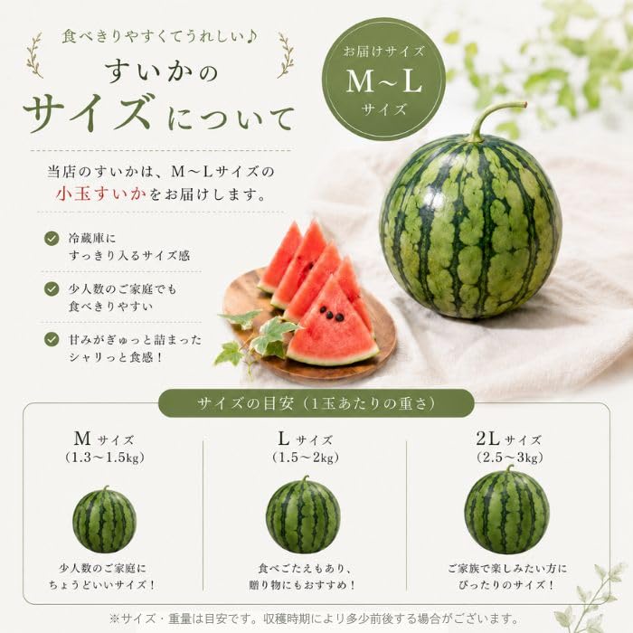 Amazon.co.jp: TOBIFRU 小玉すいか M-Lサイズ 2玉入り スイカ 西瓜 父