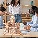 RUIFAM 3D Wooden Puzzles DIY Mechanical Wooden Wide Model Kit 1000 Pcs 3D Puzzles for Adults Teens 14+Years Puzzle Enthusiasts Box Clockwork Enchanted Castle