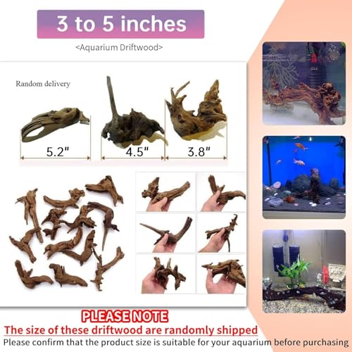 Image of Hamiledyi 24 Pcs Small Driftwood for Aquarium 3 inch-5 inch Driftwood Branches Aquarium Decoration Reptiles Reptile Tank Accessories Assorted Size Natural Habitat Decor Wood for Lizad