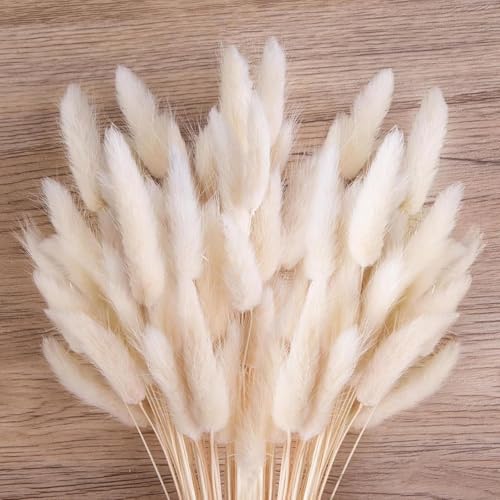 Image of TIED RIBBONS Set of 50 Pcs Natural Dried Bunny Tail Pampas Grass White Color Bunny Tail Pampas Boho Bouquet Artificial Flowers Decor for Table Vase Living Room Home Decoration (20 inch Length)