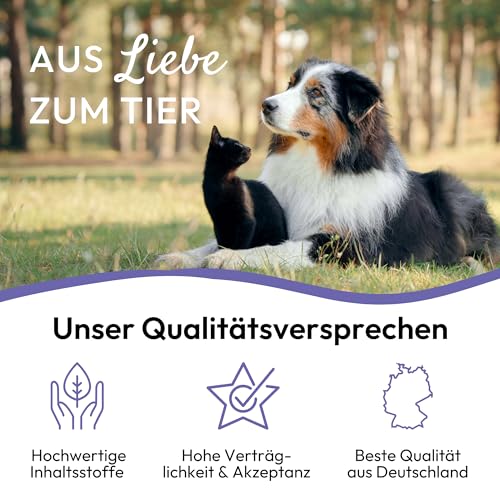 PHA BeruhigungsPaste Katze gegen Angst & Stress, bei Autofahrt, Tierarzt, Silvester, Natürliches Beruhigungsmittel für Katzen, zur Beruhigung, Entspannungs- & Anti-Stress-Mittel für Katzen, 100 ml