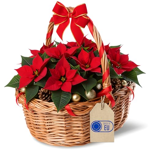 Creative Home Osterkörbchen Weihnachtskorb Picknickkorb Weidenkorb...