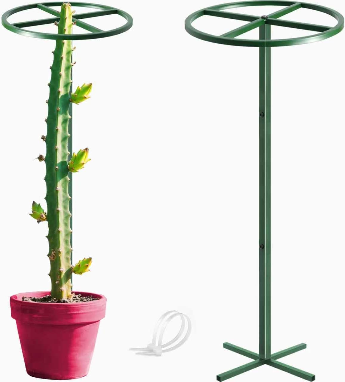 1 Pcs Adjustable Round Dragon Fruit Trellis,Durable Metal Plant Trellis Outdoor Climbing Plants Support Frame for Vertical Gardening Trees Cactus Green