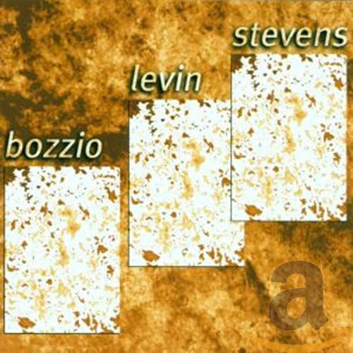 Situation Dangerous [Audio CD] Bozzio; Stevens and Levin