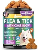 Flea and Tick Prevention for Dogs Chewables, Dog Flea and Tick Treatment