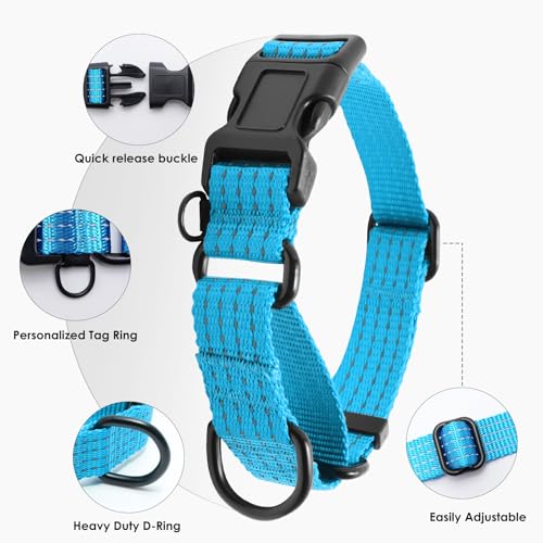 Image of Martingale Dog Collar, Reflective No Pull with Buckle, Sky Blue, S | Escape Proof without choking ,Training Collar with Quick Release Buckle, Adjustable Heavy Duty Nylon collars for S M L Dogs
