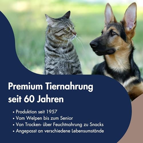 DR.CLAUDER'S - B.A.R.F. Komplett Menue Rinderteller | Fleischeintopf mit 100% Muskelfleisch, Innereien und Gemüse für ausgewachsene Hunde. Alleinfutter in der Dose | 800g Rind