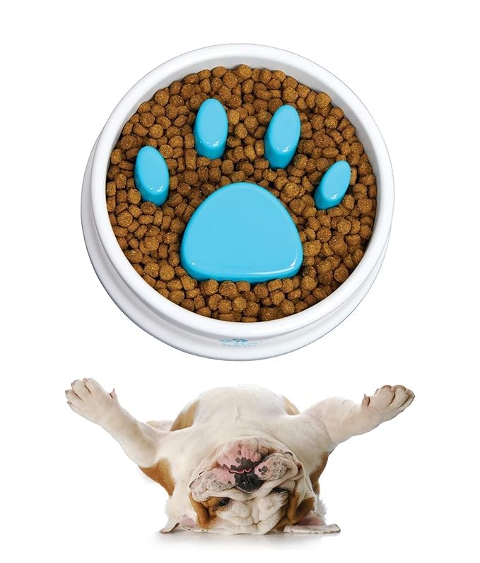 GETZET Bowl for Dog and Cat with Funny Pattern pet Slow Feeder Dog Bowl Fun No Chocking Polypropylene Bloat Stop Food Bowl - Multicolor. 2