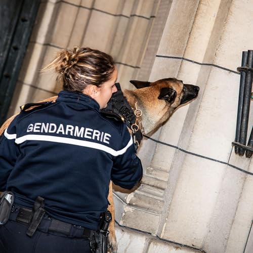 Maître-chien à la Garde républicaine : "sans Naia, je ne pourrais pas réaliser mon rêve"
