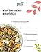 bunnyNature KaninchenTraum Vegetables - Zwergkaninchen Alleinfuttermittel ab 6. Lebensmonat - Kaninchen-Futter - 63 Pflanzen, Kräuter & Extra Gemüse - 1,5kg