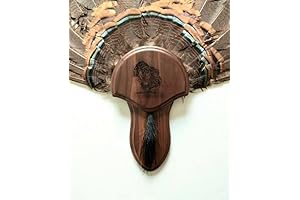The Taxidermists Woodshop Walnut Laser Engraved Turkey Mounting Kit with Beard Plate